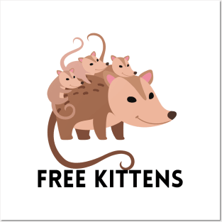 Free Kittens Posters and Art